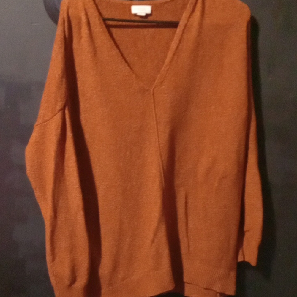 a.n.a Women's V-Neck Sweater in Rich Brown